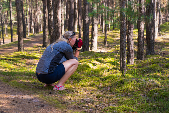 Young female takes pictures of trees in Bory Tucholskie National Park, Kashubia, Poland