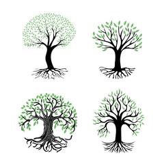 A set of illustrations of a tree with roots and green foliage. Abstract tree icon on a white background. Round logo of a tree with a rhizome.