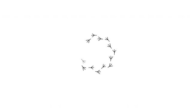Bird foot prints downloading loop video.