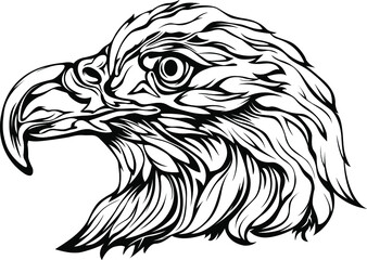 Hand drawn eagle head emblem. Mascot bird vector. Logo illustration.