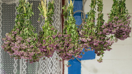 Bunches of oregano herbs. A healing plant with purple flowers.