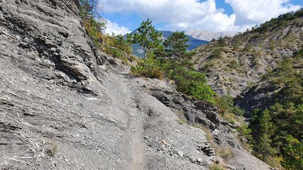 black earth terre noir hills in France