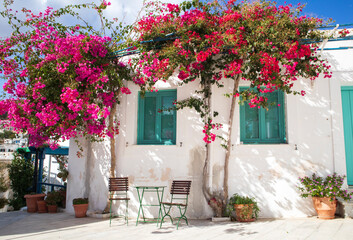 City landscape with houses and trees. Greece. Paros