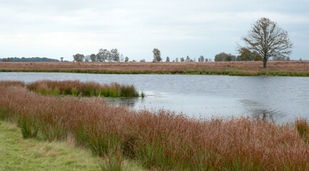Bourtanger Moor-Bargerveen International Nature Park  is a cross border nature reserve in the west of Germany and the North-East of the Netherlands with large peat areas, heather and small lakes