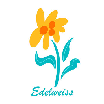 Edelweiss logo. Flower with a leaves and a blossoming bud. Isolated edelweiss on white background. Flat style. Vector illustration.