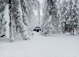 snow covered house