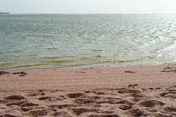 Texture background Footprints of human feet on the sand near the water on the beach