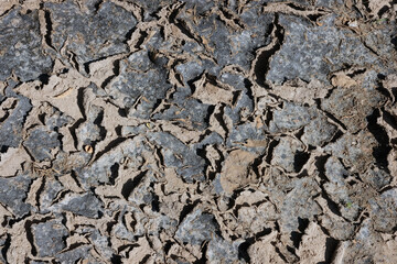 stone wall texture