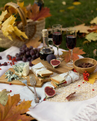 Autumn picnic with food, fruits, cheese and red wine on lawn with maple leaves. Romantic dinner in evening garden