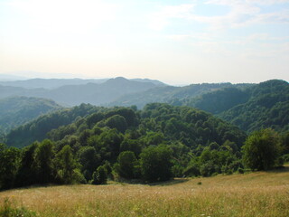 Obraz premium Landscape through the prism of the sun's rays of numerous hills richly covered with dense green forest.