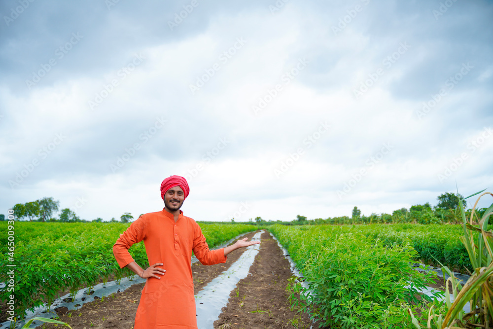 Wall mural Young indian farmer standing in green pigeon pea agriculture field.