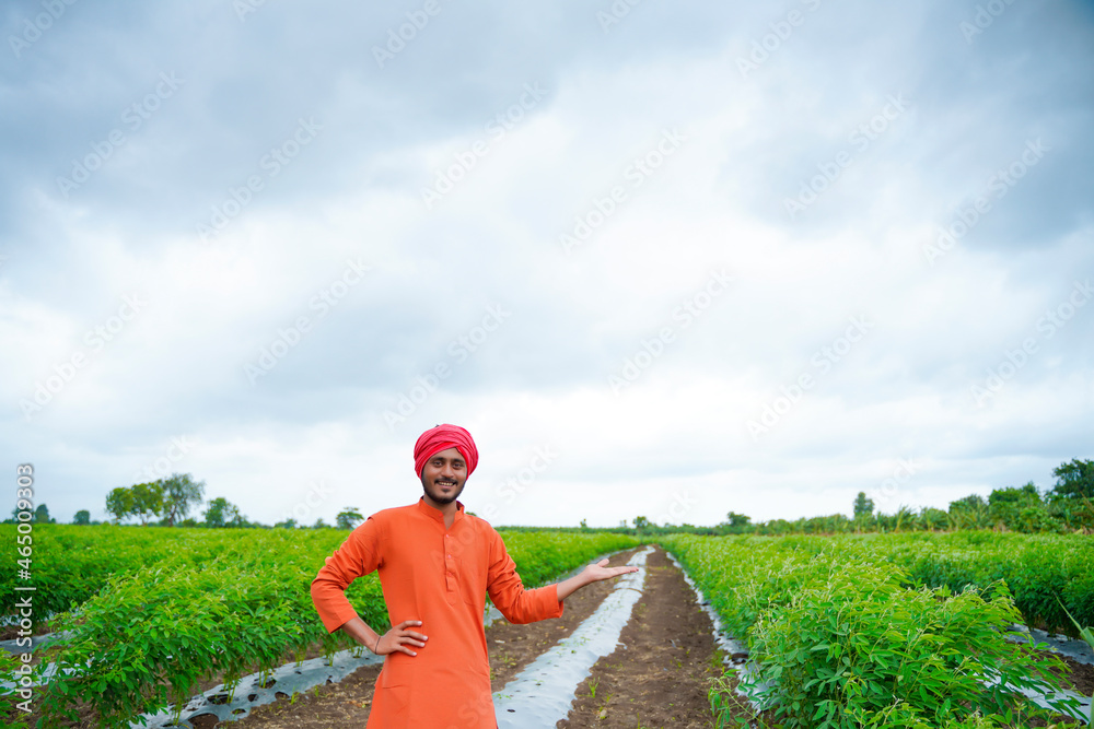 Poster Young indian farmer standing in green pigeon pea agriculture field.