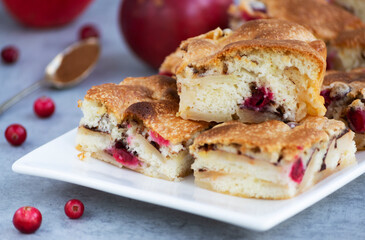 Homemade apple cake with cranberries, closeup. Russian аpple sponge cake called Sharlotka, easy recipe
