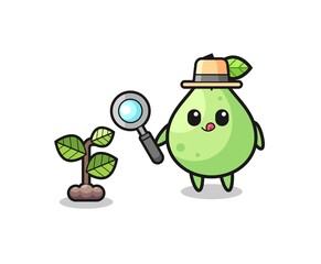 cute guava herbalist researching a plants