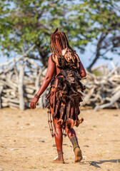 Fototapeta na wymiar Himba woman in traditional dress is walks through the desert.