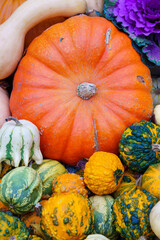 A large ripe, red pumpkin surrounded by smaller pumpkins