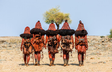 Group of women of the Himba tribe are walking through the desert in national clothes. - obrazy, fototapety, plakaty