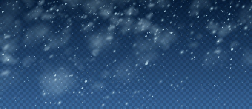 Snow Blizzard realistic overlay background. Snowflakes flying in the sky isolated on transparent background. Background for Christmas design. Vector illustration