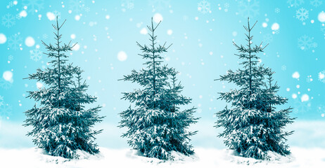 Three fir trees in the snow against a background of blue sky with swirling snowflakes. Winter and Christmas concept.