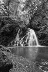 waterfall in the woods in mono