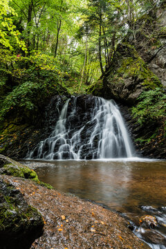 waterfall in the woods