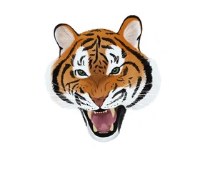 Illustration Tiger