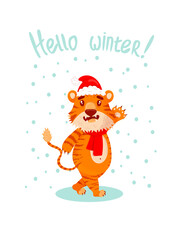 greeting card with the inscription hello winter with a cute tiger, the symbol of the chinese new year. flat style. a tiger in a New Year's hat and a red scarf rejoices and smiles, waving his paw