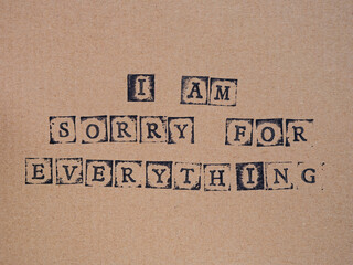 Cardboard with words I am Sorry for Everything