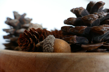 Selbstgemachte Dekoration zu Weihnachten und im Advent