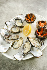assorted oysters and sea urchins