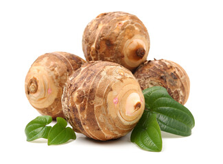 Taro on a white background