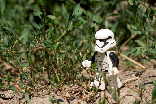 Chernihiv, Ukraine, July 13, 2021. A walking imperial stormtrooper among plants, a plastic minifigure. Illustrative editorial.