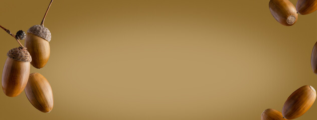 Banner with acorns on an autumn theme. Oak nut