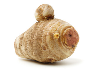 Taro on a white background