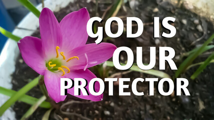 God is our protector bible words with pink color flower in pot. Christian faith