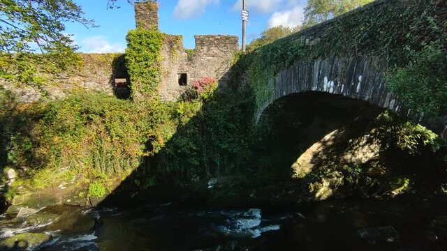 Carriganass&ndash; Panoramica dei ruderi del castello dalla sponda del fiume Ouvane