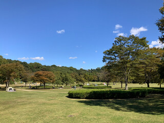 golf course in the morning