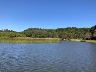 lake and mountains