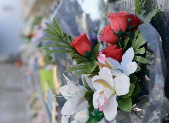 Flowers in a cemetery