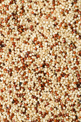 quinoa macro food background white and brown