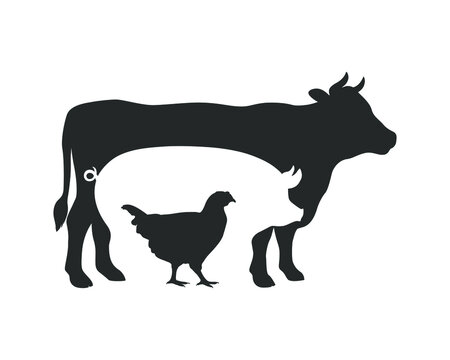 Farm animals graphic symbol. Cow, pig and chicken sign isolated on white background. Livestock symbol. Vector illustration