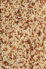 quinoa macro food background white and brown