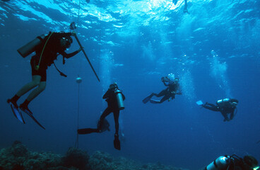 Divers on a Safety Stop Near their Dive Boat and the Safety Down Line