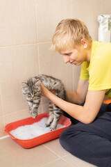 Training a kitten to the toilet
