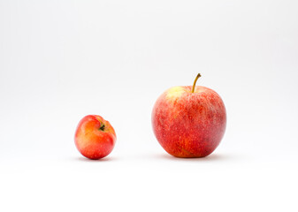 Degenerated and Optimized