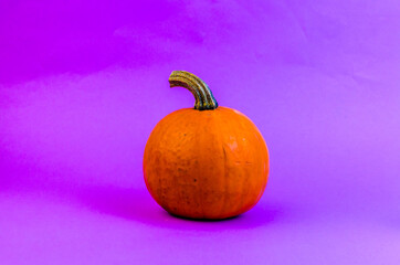 round orange pumpkin with a branch on a purple background