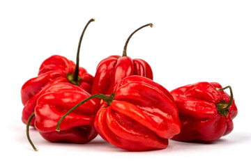 Red hot habanero peppers isolated on white background
 - obrazy, fototapety, plakaty