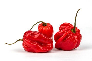 Red hot habanero peppers isolated on white background
