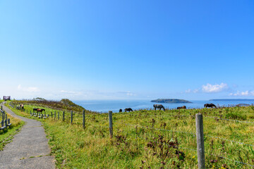 Fototapeta na wymiar 北海道　東部　厚岸のあやめケ原からの展望 