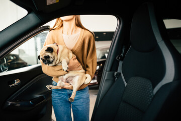 Woman with cute pug on hands choosing new car at salon